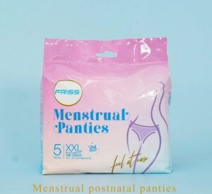 Disposable Menstrual Panties (5pcs Pack)