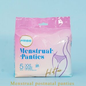 Disposable Menstrual Panties (5pcs Pack)